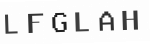 Verification Code Image