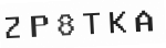 Verification Code Image