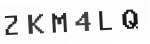 Verification Code Image