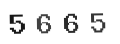 Verification Code Image